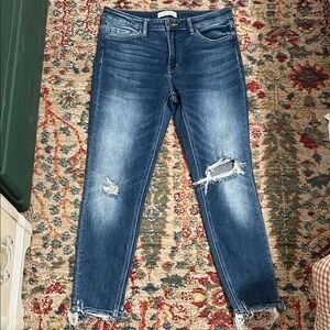 Flying Monkey Distressed Straight Leg Jeans